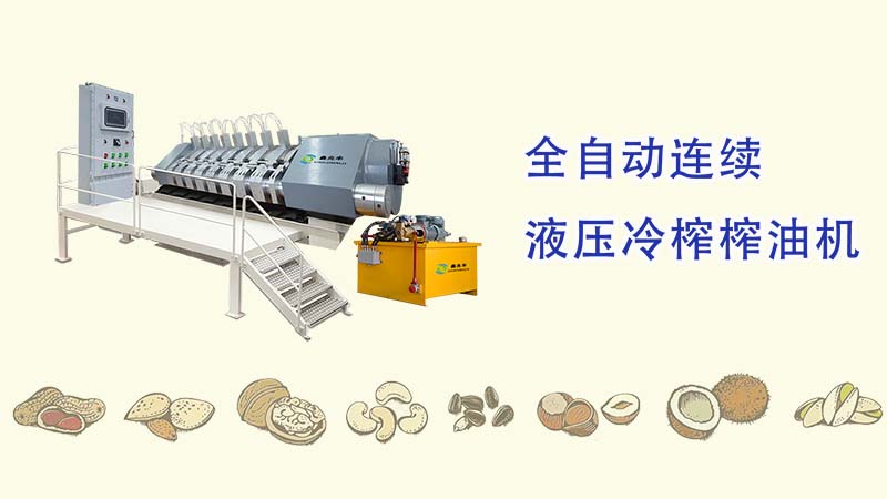 鑫兆豐YZYW全自動液壓榨油機_一種可壓榨可可、核桃、芝麻、花生、茶籽等需要分離油脂保留植物蛋白的高端液壓榨油機